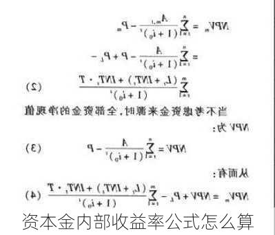 资本金内部收益率公式怎么算