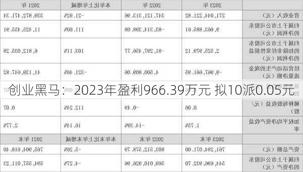 创业黑马：2023年盈利966.39万元 拟10派0.05元