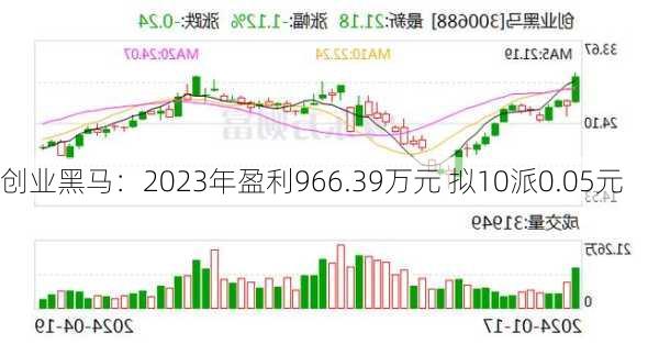 创业黑马：2023年盈利966.39万元 拟10派0.05元