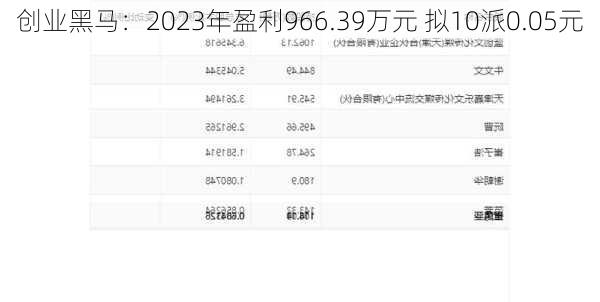 创业黑马：2023年盈利966.39万元 拟10派0.05元