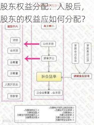 股东权益分配：入股后，股东的权益应如何分配？