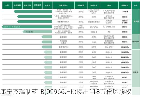 康宁杰瑞制药-B(09966.HK)授出118万份购股权