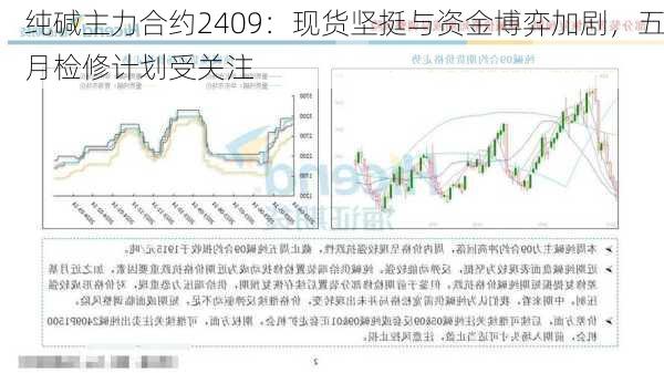 纯碱主力合约2409：现货坚挺与资金博弈加剧，五月检修计划受关注