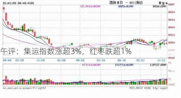 午评：集运指数涨超3%，红枣跌超1%