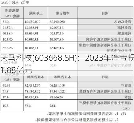 天马科技(603668.SH)：2023年净亏损1.88亿元