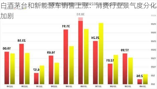 白酒茅台和新能源车销售上涨：消费行业景气度分化加剧