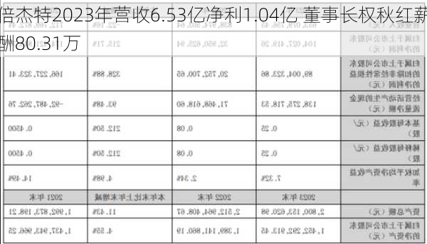 倍杰特2023年营收6.53亿净利1.04亿 董事长权秋红薪酬80.31万