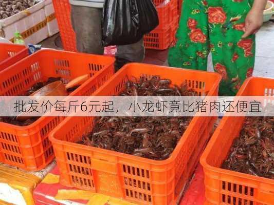 批发价每斤6元起，小龙虾竟比猪肉还便宜