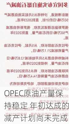 OPEC原油产量保持稳定 年初达成的减产计划尚未完成