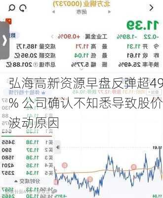 弘海高新资源早盘反弹超49% 公司确认不知悉导致股价波动原因