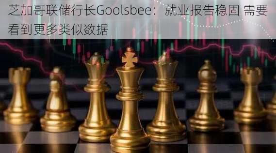 芝加哥联储行长Goolsbee：就业报告稳固 需要看到更多类似数据