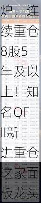 两大机构持仓全透视！社保基金重仓持股名单出炉，连续重仓8股5年及以上！知名QFII新进重仓这家面板龙头