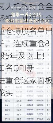 两大机构持仓全透视！社保基金重仓持股名单出炉，连续重仓8股5年及以上！知名QFII新进重仓这家面板龙头