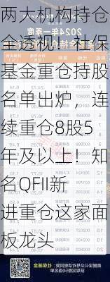 两大机构持仓全透视！社保基金重仓持股名单出炉，连续重仓8股5年及以上！知名QFII新进重仓这家面板龙头