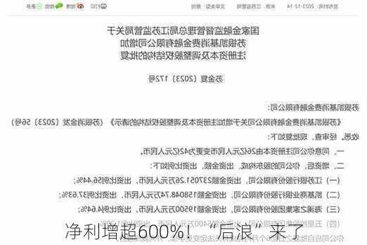 净利增超600%！“后浪”来了