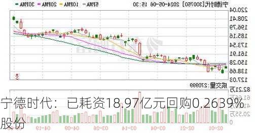 宁德时代：已耗资18.97亿元回购0.2639%股份