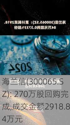 海兰信(300065.SZ): 270万股回购完成,成交金额2918.84万元