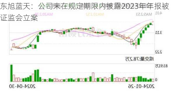 东旭蓝天：公司未在规定期限内披露2023年年报被证监会立案