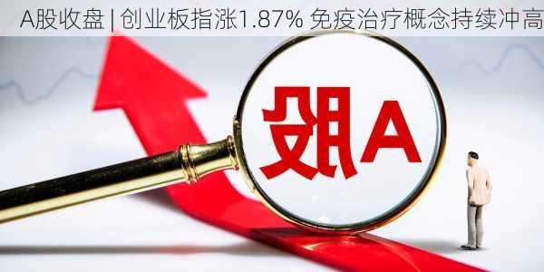 A股收盘 | 创业板指涨1.87% 免疫治疗概念持续冲高