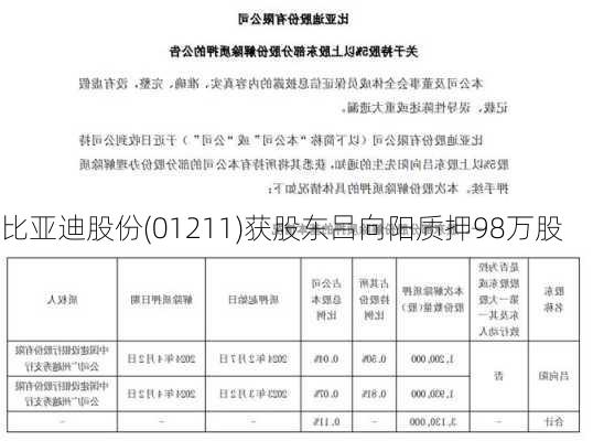 比亚迪股份(01211)获股东吕向阳质押98万股