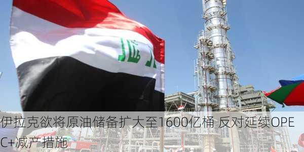 伊拉克欲将原油储备扩大至1600亿桶 反对延续OPEC+减产措施