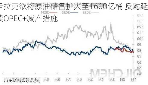 伊拉克欲将原油储备扩大至1600亿桶 反对延续OPEC+减产措施