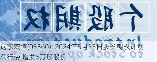 远东宏信(03360): 2024年5月13日股份期权计划获行使 增发6万股股份