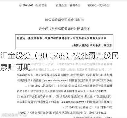 汇金股份（300368）被处罚，股民索赔可期