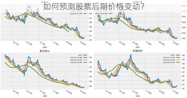 如何预测股票后期价格变动？