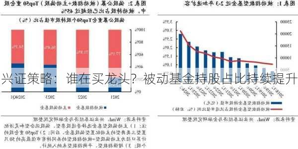 兴证策略：谁在买龙头？被动基金持股占比持续提升