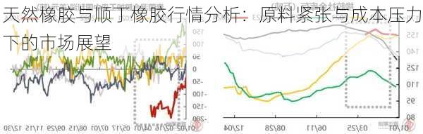 天然橡胶与顺丁橡胶行情分析：原料紧张与成本压力下的市场展望