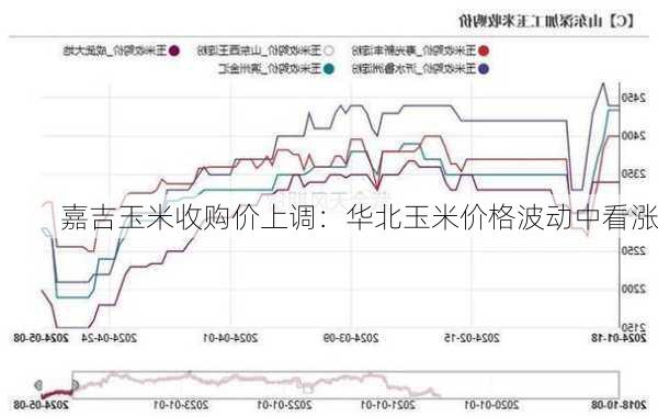 嘉吉玉米收购价上调：华北玉米价格波动中看涨