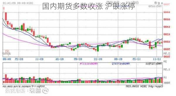 国内期货多数收涨 沪银涨停