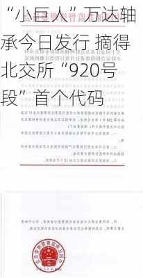 “小巨人”万达轴承今日发行 摘得北交所“920号段”首个代码