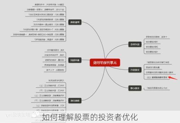 如何理解股票的投资者优化