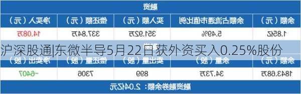 沪深股通|东微半导5月22日获外资买入0.25%股份