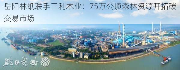 岳阳林纸联手三利木业：75万公顷森林资源开拓碳交易市场