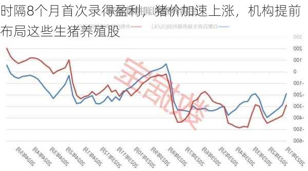 时隔8个月首次录得盈利，猪价加速上涨，机构提前布局这些生猪养殖股