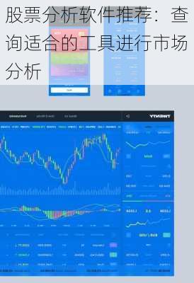 股票分析软件推荐：查询适合的工具进行市场分析