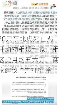 20只东北虎死亡揭开动物租赁乱象：租老虎月均五六万，商家建议“先打招呼”