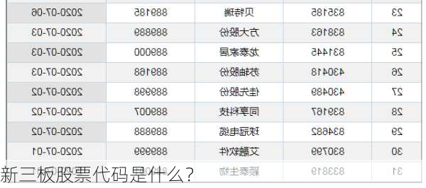 新三板股票代码是什么？
