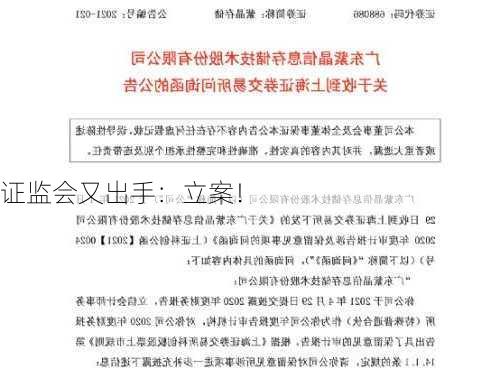 证监会又出手：立案！