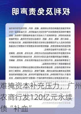 难掩资本补充压力，广州农商行发120亿元永续债“补血”