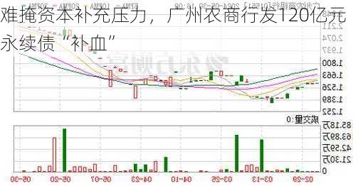 难掩资本补充压力，广州农商行发120亿元永续债“补血”