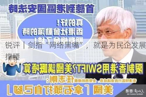 锐评｜剑指“网络黑嘴”，就是为民企发展撑腰