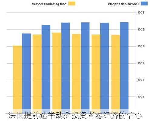 法国提前选举动摇投资者对经济的信心