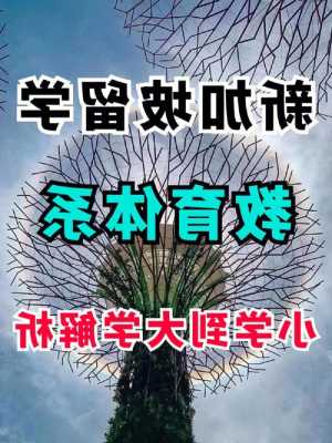 去新加坡留学可以带孩子么