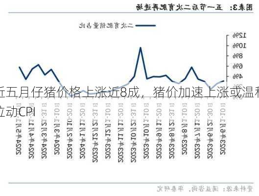 近五月仔猪价格上涨近8成，猪价加速上涨或温和拉动CPI