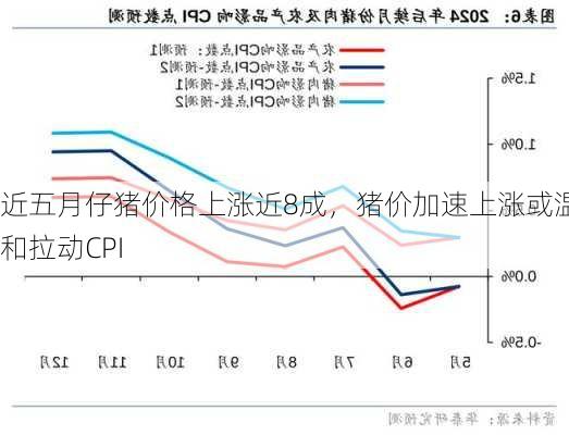 近五月仔猪价格上涨近8成，猪价加速上涨或温和拉动CPI