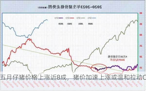 近五月仔猪价格上涨近8成，猪价加速上涨或温和拉动CPI